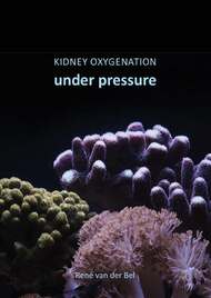 Kidney oxygenation under pressure
