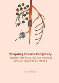 Navigating Vascular Complexity