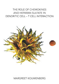 The role of chemokines and heparan sulfate in dendritic cell – T cell interaction