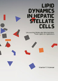 Lipid Dynamics in Hepatic Stellate Cells