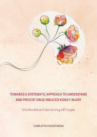 Towards A Systematic Approach To Understand And Prevent Drug-Induced Kidney Injury