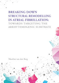 Breaking down structural remodelling in atrial fibrillation: