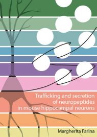 Trafficking and secretion of neuropeptides in mouse hippocampal neurons