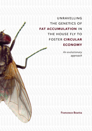 unravelling the genetics of fat accumulation in the house fly to foster circular economy