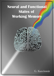 Neural and Functional States of Working Memory
