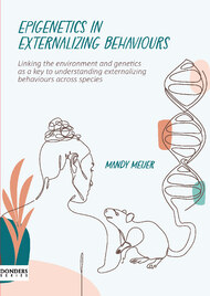 Epigenetics in externalizing behaviours