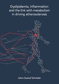 Dyslipidemia, inflammation and the link with metabolism in driving atherosclerosis