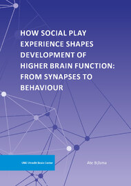 How social play experience shapes development of higher brain function: From synapses to behaviour