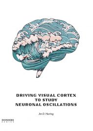 Driving visual cortex to understand neuronal oscillations