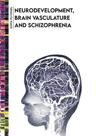 Neurodevelopment, brain vasculature and schizophrenia