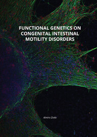 Functional genetics on congenital intestinal motility disorders