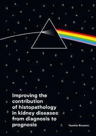 Improving the contribution of histopathology in kidney diseases: from diagnosis to prognosis.