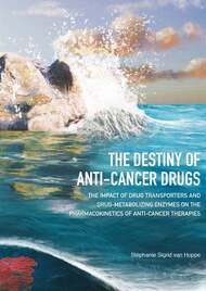 The destiny of anti-cancer drugs