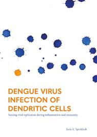 Dengue virus infection of dendritic cells