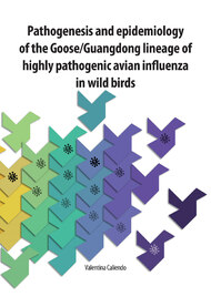Pathogenesis and epidemiology of the Goose/Guangdong lineage of highly pathogenic avian influenza in wild birds Valentina