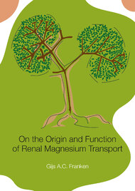 On the origin and function of renal magnesium transport