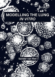 Modelling the lung in vitro
