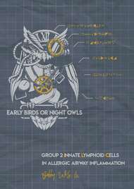 Group 2 Innate Lymphoid Cells in Allergic Airway Inflammation