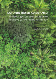 Saponin-based adjuvants
