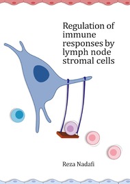 Regulation of adaptive immune responses by lymph node stromal cells