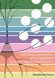 Trafficking and secretion of neuropeptides in mouse hippocampal neurons