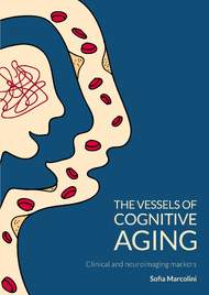The vessels of cognitive aging: