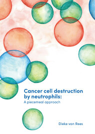 Cancer cell destruction by neutrophils: