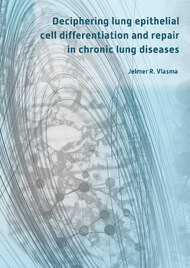 Deciphering lung epithelial cell differentiation and repair in chronic lung diseases