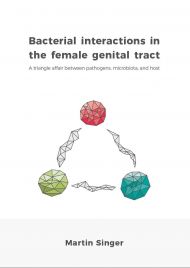 Bacterial interactions in the female genital tract