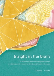 Insight in the brain