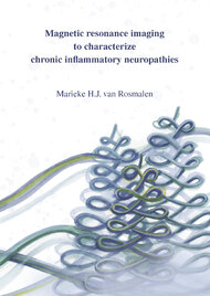 Magnetic resonance imaging to characterize chronic inflammatory neuropathies