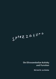 Sprezzatura On Olivocerebellar Activity and Function
