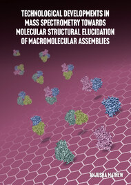 Technological Developments in Mass Spectrometry Towards Molecular Structural Elucidation of Macromolecular Assemblies