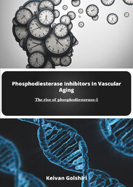 Phosphodiesterase Inhibitors In Vascular Aging