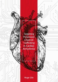 Targeting Potassium Channel Trafficking in Cardiac Arrhythmia