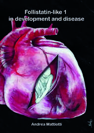 Follistatin-like 1 in development and disease