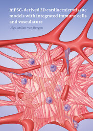 hiPSC-derived 3D cardiac microtissue models with integrated immunce cells and vasculature