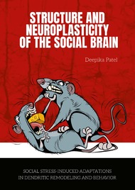 Structural plasticity of the social brain
