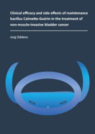 Clinical efficacy and side effects of maintenance bacillus Calmette-Guérin in the treatment of non-muscle-invasive bladder cancer
