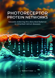 Photoreceptor Protein Networks