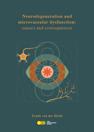 Neurodegeneration and microvascular dysfunction: