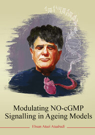Modulating NO-cGMP signalling in ageing models