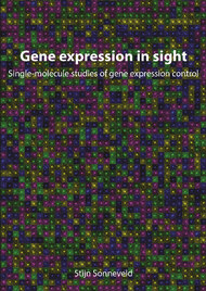 Gene expression in sight