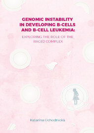 Genomic instability in developing B-cells and B-cell leukemia: