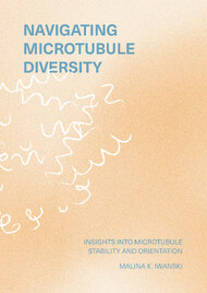 Navigating microtubule diversity
