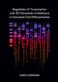 Regulation of Transcription and 3D Chromatin Architecture in Instructed Cell Differentiation