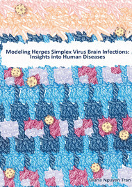 Modeling Herpes Simplex Virus Brain Infectitions: