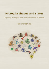 Microglia shapes and states
