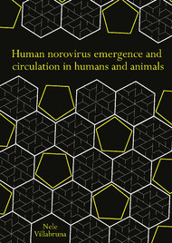 Human norovirus emergence and circulation in humans and animals