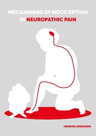 Mechanisms of nociception in neuropathic pain